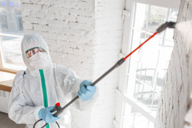 Best Basement Mold Removal  in Marshville, NC