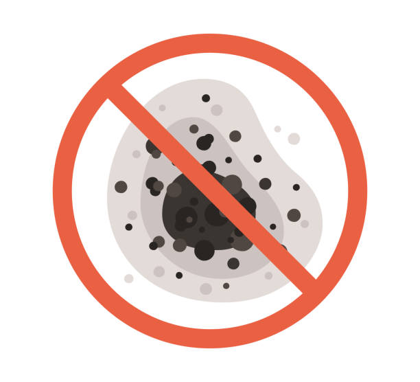 Best Comprehensive Air Testing for Mold Contaminants  in Marshville, NC