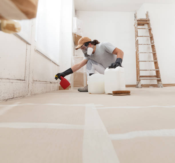 Best Asbestos and Lead Testing During Mold Inspection  in Marshville, NC