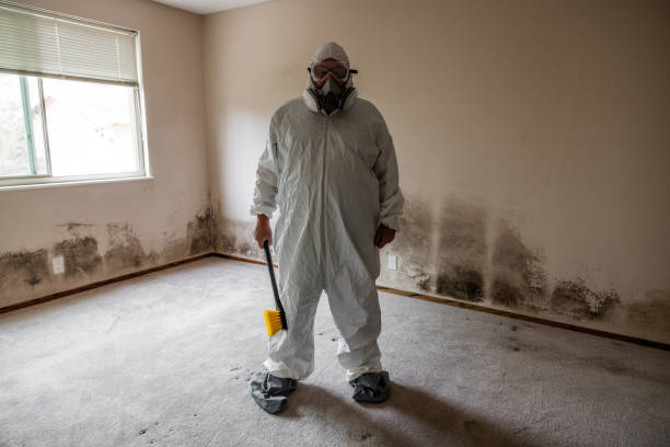 Mold Removal for HVAC Installations in Marshville, NC